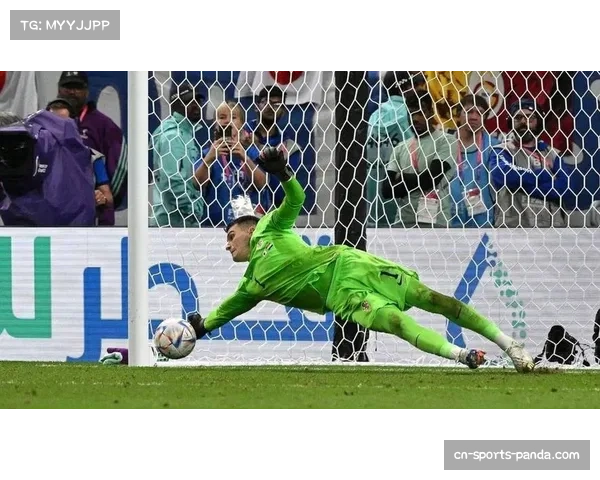 西班牙人门将德米特罗维奇发挥出色 多次关键扑救挽救球队 西班牙人门将德米特罗维奇发挥出色 多次关键扑救挽救球队